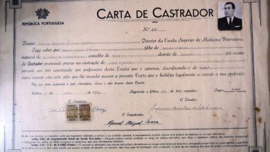 carta de castrador capador