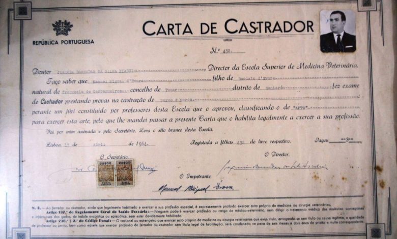 Uma licença de capador de 1964 carta de castrador capador