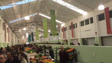 mercado 2271262184469478694 n