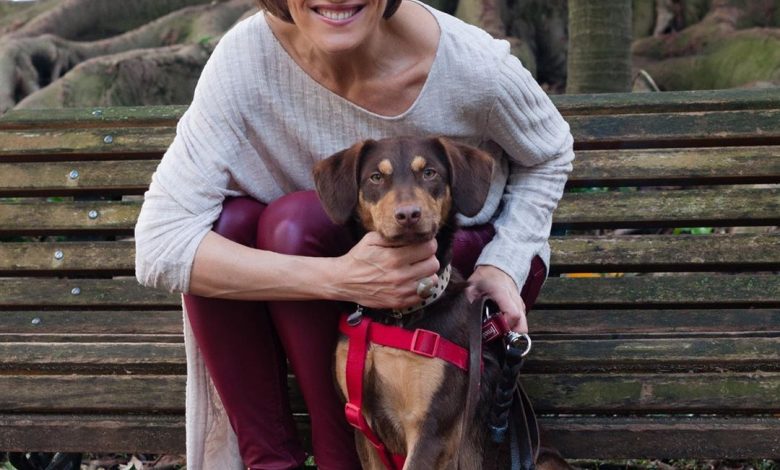Ourém: Fátima Lopes (TVI) lança apelo para encontrarem o seu cão* (atualização) apelo 3480 4244914213368096608 n