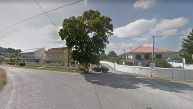 arvore Sem Titulo