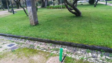 bebedouro IMG 20200129 080910