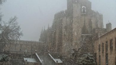 neve