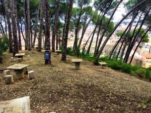 parque merendas pinhal santa Barbara 3323211518530911403 n