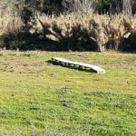 passadico prado IMG 20200111 145600