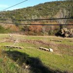passadico prado IMG 20200111 145701