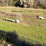 passadico prado IMG 20200111 145712