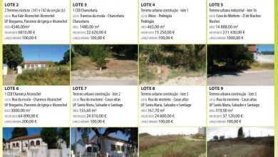 torres novas leilao