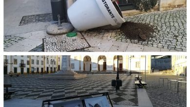 vandalismo 56789