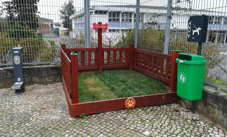 Obras do primeiro “WC canino” de Tomar já concluídas (c/ vídeo) wc canino caes IMG 20200114 112713