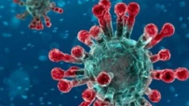 Coronavirus