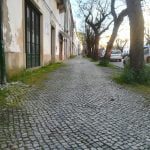 ervas IMG 20200219 082900