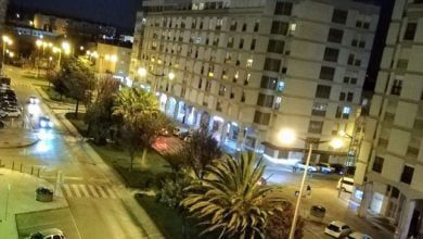 alameda 841129 3125435795649855488 o