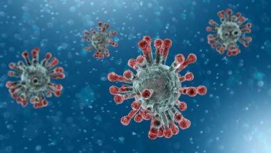 coronavirus covid 3