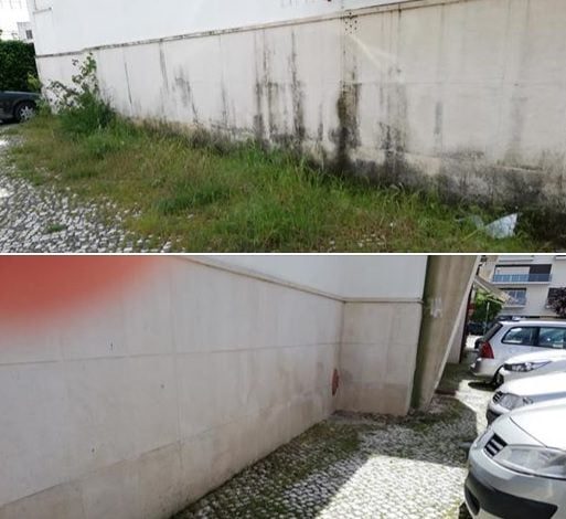 Moradora cansou-se de ver ervas no passeio e… ervas 567890