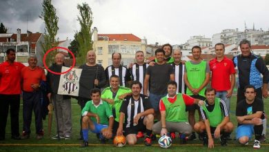 zebras do alvito 8696537740060862169 n