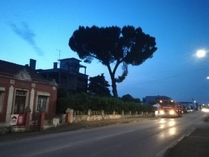IMG 20200530 212449