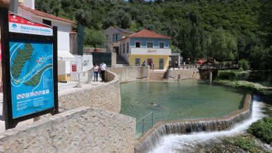 agroal IMG 9302