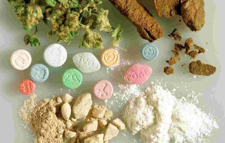 Distrito: houve 64 apreensões de cannabis em 2019 drogas