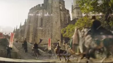 D. quixote movie 2