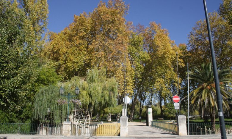 Animação de verão com prata da casa em 65 atuações Tomar Parque Mouchao