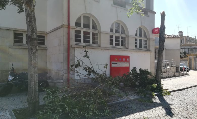Árvore caiu em frente aos Correios arvore IMG 20200621 164833