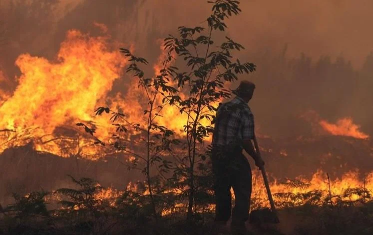 Incêndio nas Olalhas mobiliza quase 200 bombeiros (c/ vídeo) incendio 43 6241550885226499047 n