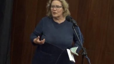 maria da luz BE