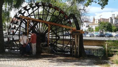 roda mouchao IMG 20200614 102907