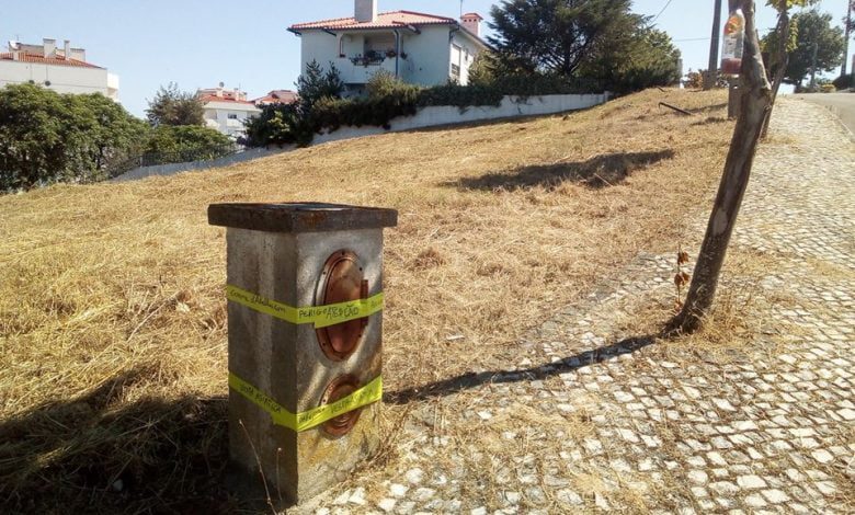 Ninho de vespa asiática eliminado na Choromela (c/ vídeo) vespa 7200523 7129104674287351257 o