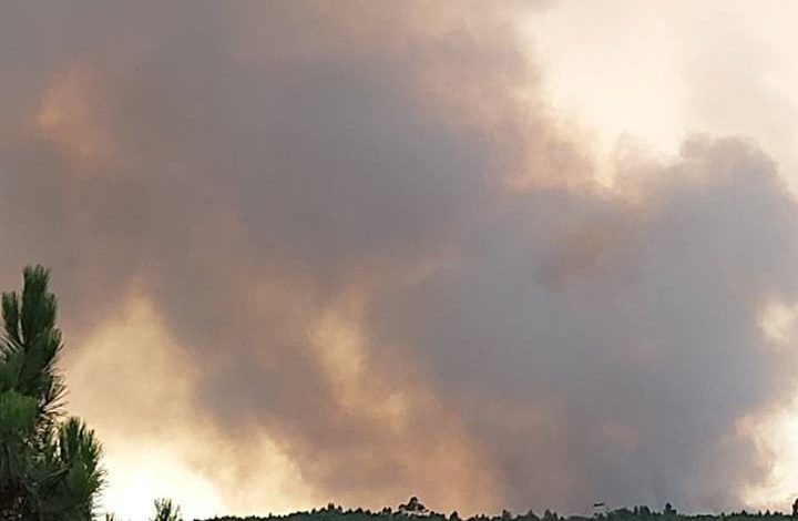 Dez meios aéreos e 400 operacionais combatem fogo em Abrantes 115695944 636839290524036 1274204160148824196 n
