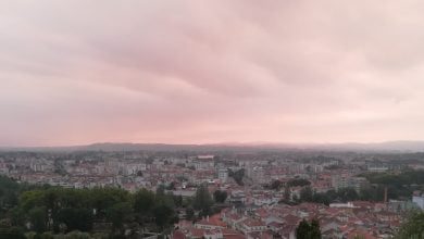Tomar IMG 20200726 082610