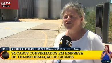 anabela freitas 9886283932908 o