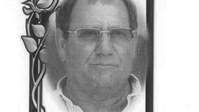 antonio silva Copia