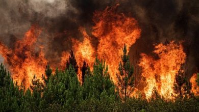 incendio geral