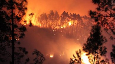 incendio noite IMG 0575 630x420 1