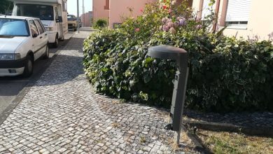 papeleira IMG 20200712 084931