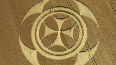 templars