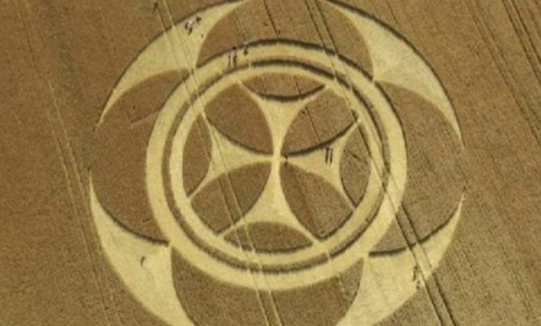 Mistério: cruz Templária num campo de trigo no norte de França (c/ vídeo) templars