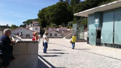 Tejo Ambiente IMG 20200803 102113