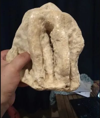 Estalactite de gruta de Tomar à venda no OLX estactit image