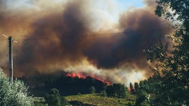 incendio martinchel eva 62019546692452163 n