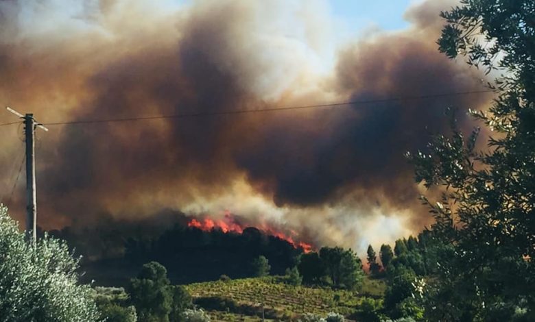 Incêndio em Martinchel mobiliza mais de 300 bombeiros incendio martinchel eva 62019546692452163 n