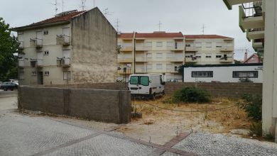 muro IMG 20200810 093247