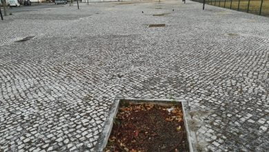 IMG 20200902 075016