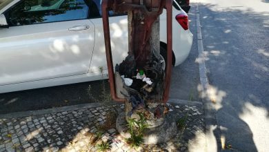 IMG 20200909 095557