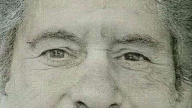 apelo 213192 7053166923552409759 o