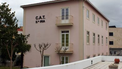 cat criancas