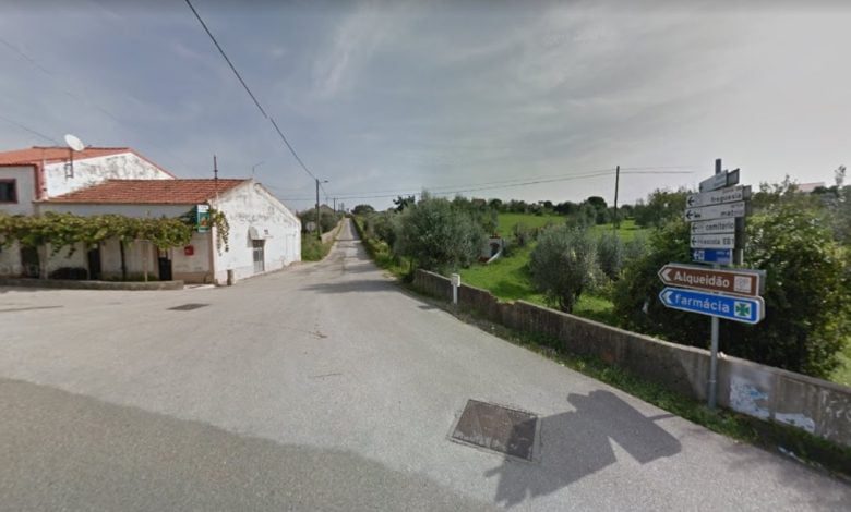 Trabalhador morre esmagado ao cortar eucalipto olalhas