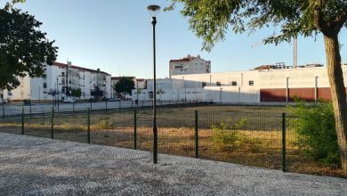 parque canino caes IMG 20200902 074937